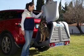 Baule Portacani Aperto (new, Towbox Versione 2)