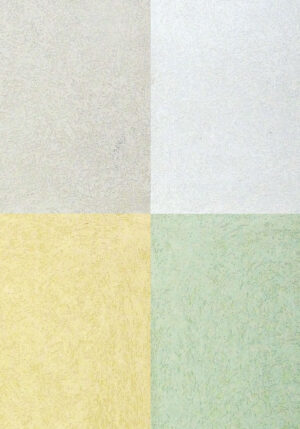 Colorazioni di Silicati Standard Utilizzati per il Prospetto