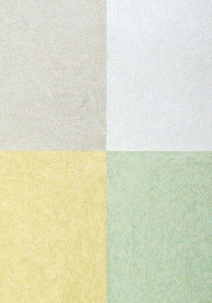 Colorazioni di Silicati Standard Utilizzati per il Prospetto